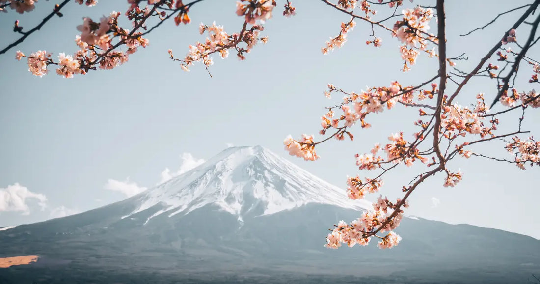 What to Do in Japan in September for an Unforgettable Trip