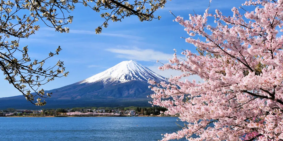  BEST SOUVENIRS IN JAPAN